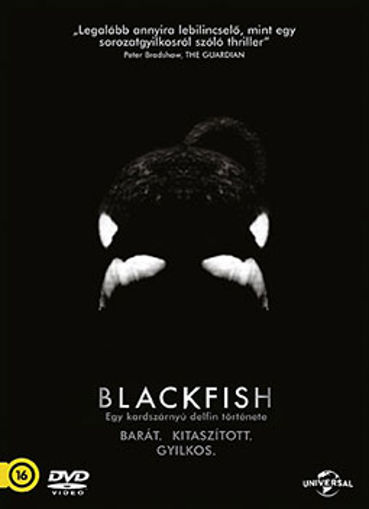 Blackfish – Egy kardszárnyú delfin története termékhez kapcsolódó kép