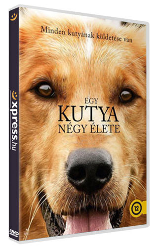 Egy kutya négy élete termékhez kapcsolódó kép