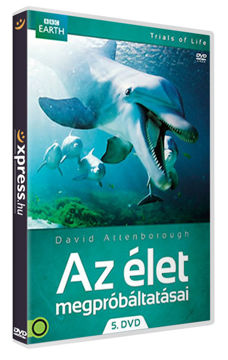 Az élet megpróbáltatásai 5. termékhez kapcsolódó kép