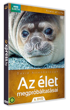 Az élet megpróbáltatásai 6. termékhez kapcsolódó kép