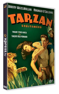 Tarzan titkos kincse / Tarzan New Yorkban termékhez kapcsolódó kép
