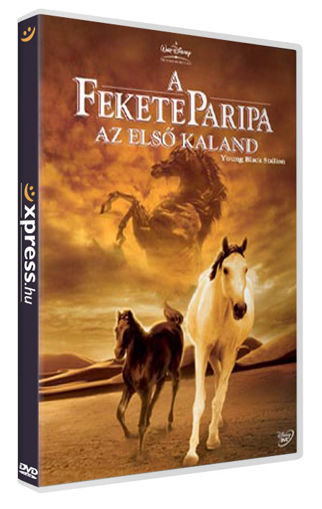 A fekete paripa - AZ első kaland termékhez kapcsolódó kép