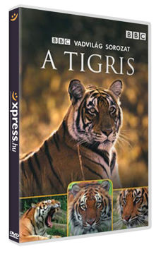 A tigris termékhez kapcsolódó kép