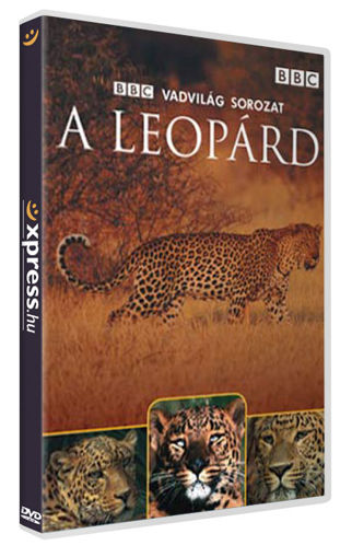 A leopárd termékhez kapcsolódó kép