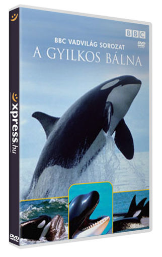 A gyilkos bálna termékhez kapcsolódó kép