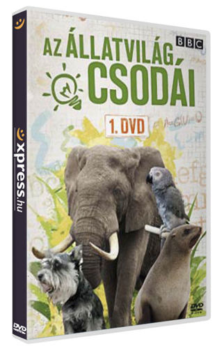 Az állatvilág csodái 1. termékhez kapcsolódó kép