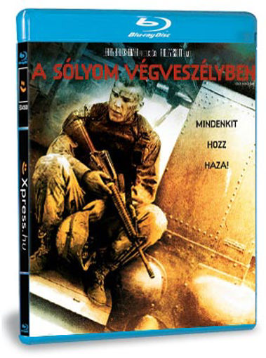 A sólyom végveszélyben - szinkronizált változat termékhez kapcsolódó kép