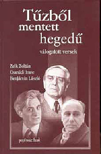 Tűzből mentett hegedű - Válogatott versek termékhez kapcsolódó kép