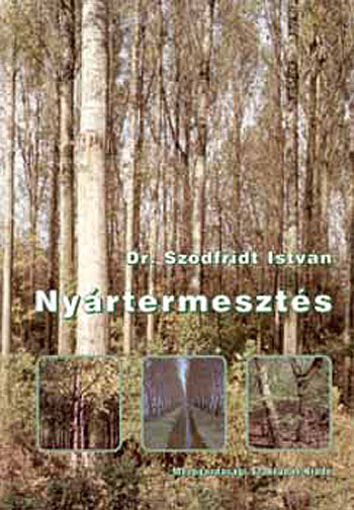 Nyártermesztés termékhez kapcsolódó kép