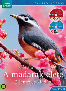 A madarak élete 3-4. (2 DVD) termékhez kapcsolódó kép