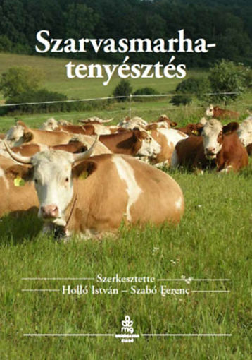 Szarvasmarha-tenyésztés termékhez kapcsolódó kép