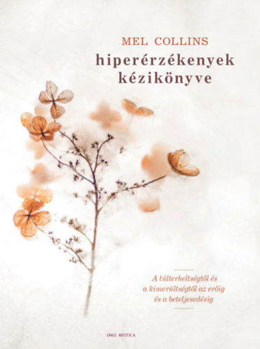 Hiperérzékenyek kézikönyve - A túlterheltségtől és a kimerültségtől az erőig és a beteljesedésig termékhez kapcsolódó kép