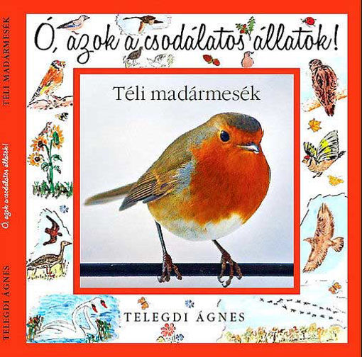 Ó, azok a csodálatos állatok! - Téli madármesék - Ó, azok a csodálatos állatok! termékhez kapcsolódó kép