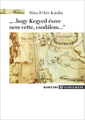 ...hogy Kegyed észre nem vette, csodálom... termékhez kapcsolódó kép