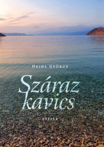 Száraz kavics - Esszék termékhez kapcsolódó kép