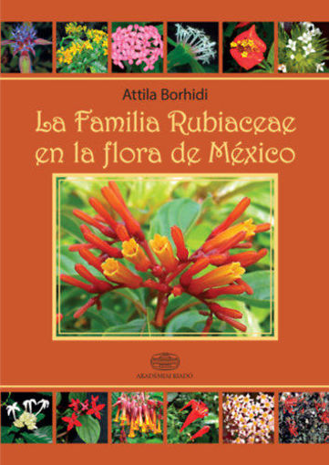 La Familia Rubiaceae en la Flora de México termékhez kapcsolódó kép