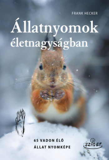 Állatnyomok életnagyságban termékhez kapcsolódó kép
