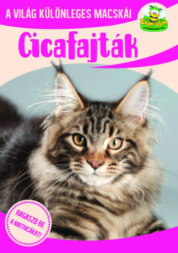 Cicafajták - A világ különleges macskái termékhez kapcsolódó kép