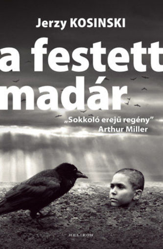 A festett madár termékhez kapcsolódó kép
