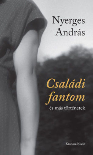 Családi fantom és más történetek termékhez kapcsolódó kép
