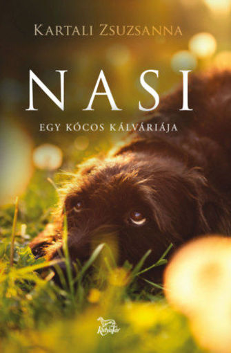 Nasi - Egy kócos kálváriája termékhez kapcsolódó kép