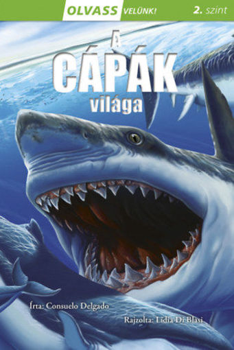 Olvass velünk! (2) - A cápák világa termékhez kapcsolódó kép