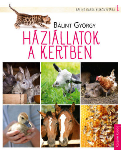 Háziállatok a kertben termékhez kapcsolódó kép