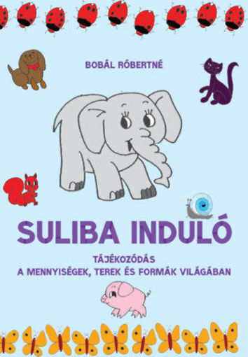 Suliba induló - Tájékozódás a mennyiségek, terek és formák világában termékhez kapcsolódó kép