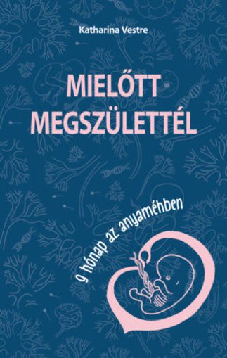Mielőtt megszülettél - 9 hónap az anyaméhben termékhez kapcsolódó kép