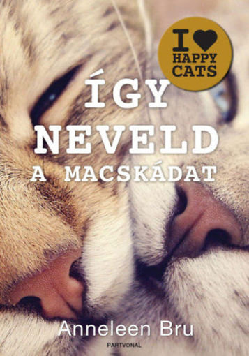 Így neveld a macskádat! termékhez kapcsolódó kép