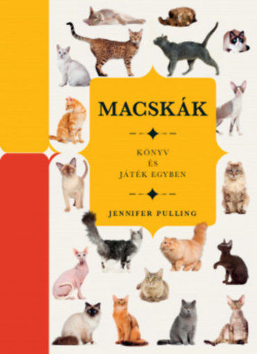 Macskák - Könyv és játék egyben termékhez kapcsolódó kép