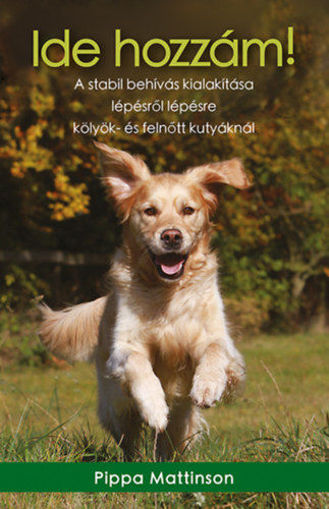 Ide hozzám! - A stabil behívás kialakítása lépésről lépésre kölyök- és felnőtt kutyáknál termékhez kapcsolódó kép