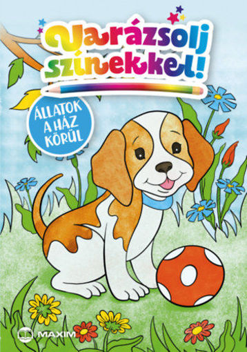 Varázsolj színekkel! - Állatok a ház körül termékhez kapcsolódó kép
