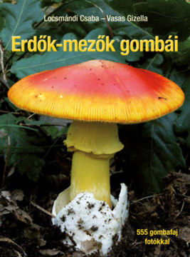 Erdők-mezők gombái - Javított utánnyomás termékhez kapcsolódó kép