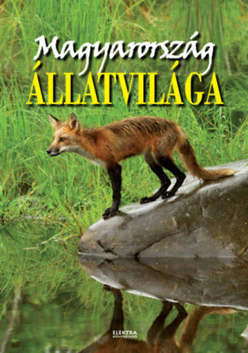 Magyarország állatvilága termékhez kapcsolódó kép