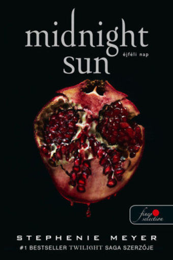 Midnight Sun - Éjféli nap - puha kötés termékhez kapcsolódó kép