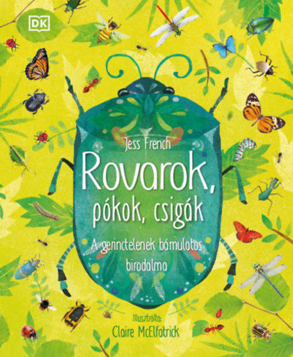 Rovarok, pókok, csigák - A gerinctelenek bámulatos birodalma termékhez kapcsolódó kép