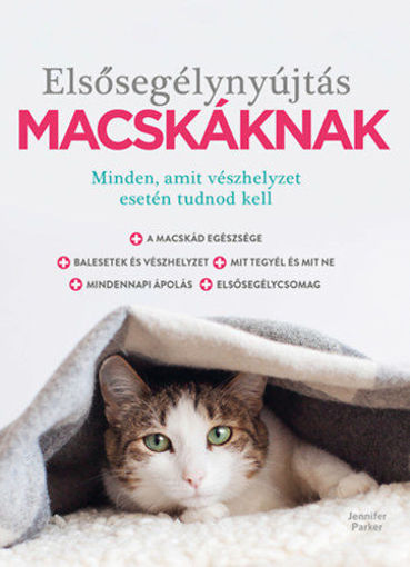 Elsősegélynyújtás macskáknak termékhez kapcsolódó kép