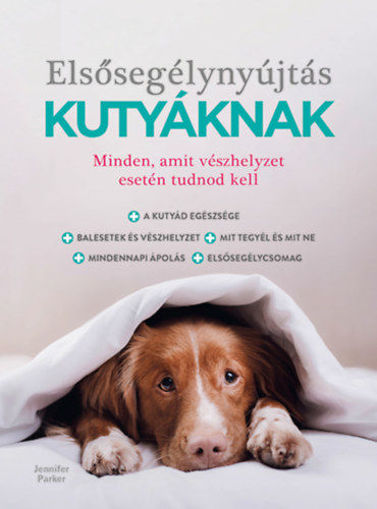 Elsősegélynyújtás kutyáknak termékhez kapcsolódó kép