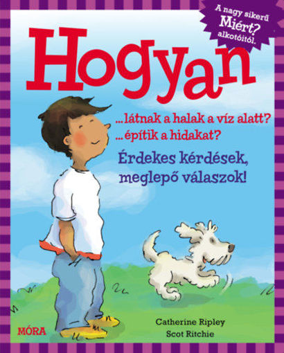 Hogyan? - Érdekes kérdések, meglepő válaszok termékhez kapcsolódó kép