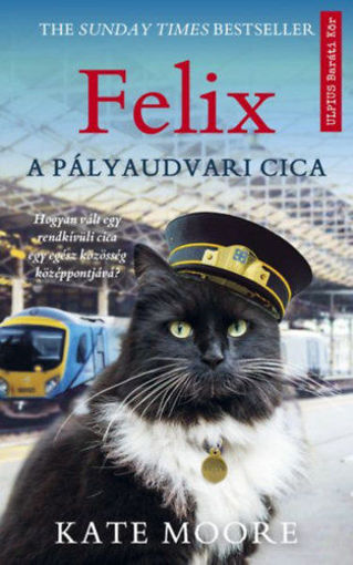 Felix, a közös cica termékhez kapcsolódó kép