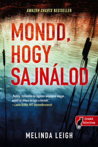 Mondd, hogy sajnálod - Morgan Dane 1. termékhez kapcsolódó kép