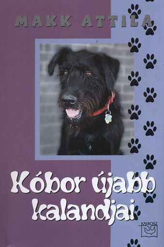 Kóbor újabb kalandjai 2. termékhez kapcsolódó kép