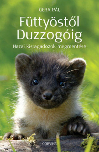 Füttyöstől Duzzogóig - Hazai kisragadozók megmentése termékhez kapcsolódó kép