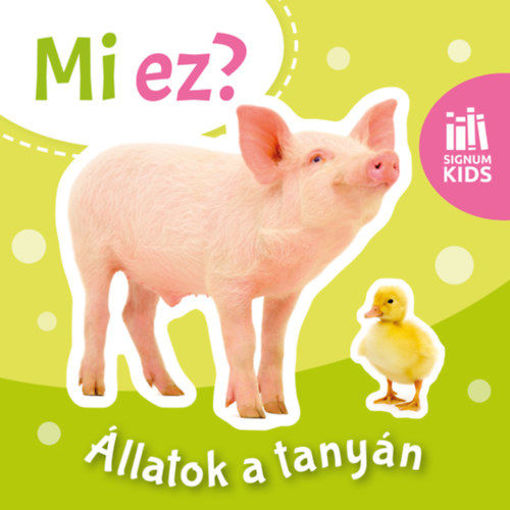 Állatok a tanyán - Mi ez? termékhez kapcsolódó kép