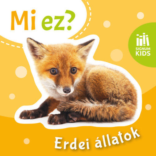 Erdei állatok - Mi ez? termékhez kapcsolódó kép