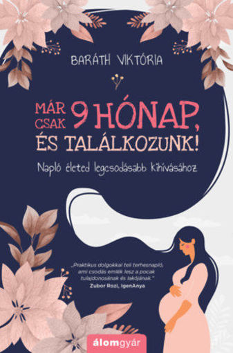 Már csak 9 hónap, és találkozunk! - Napló életed legcsodásabb kihívásához termékhez kapcsolódó kép