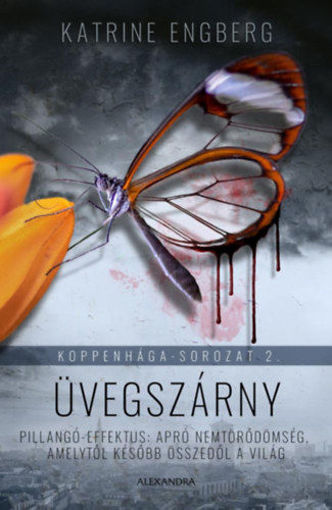 Üvegszárny - Koppenhága-sorozat 2. termékhez kapcsolódó kép