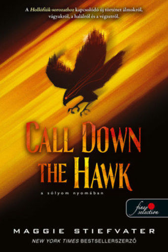 Call Down the Hawk - A sólyom nyomában - Álmodok-trilógia 1. termékhez kapcsolódó kép