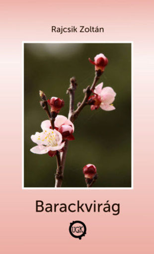 Barackvirág termékhez kapcsolódó kép